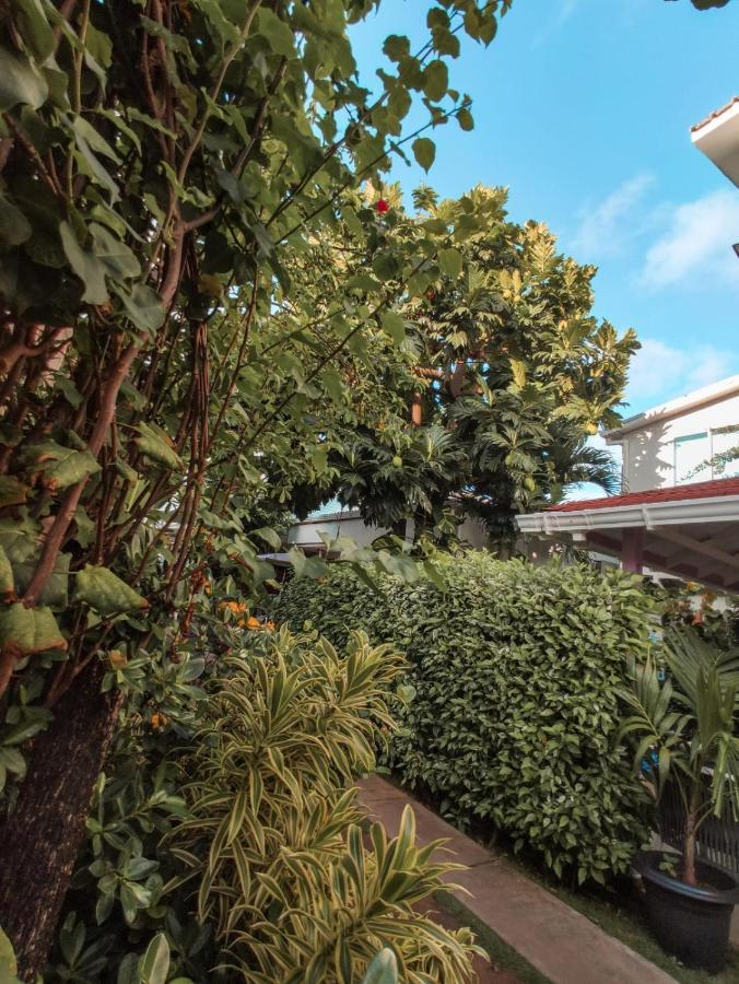 Summer House Inn San Andres Ngoại thất bức ảnh